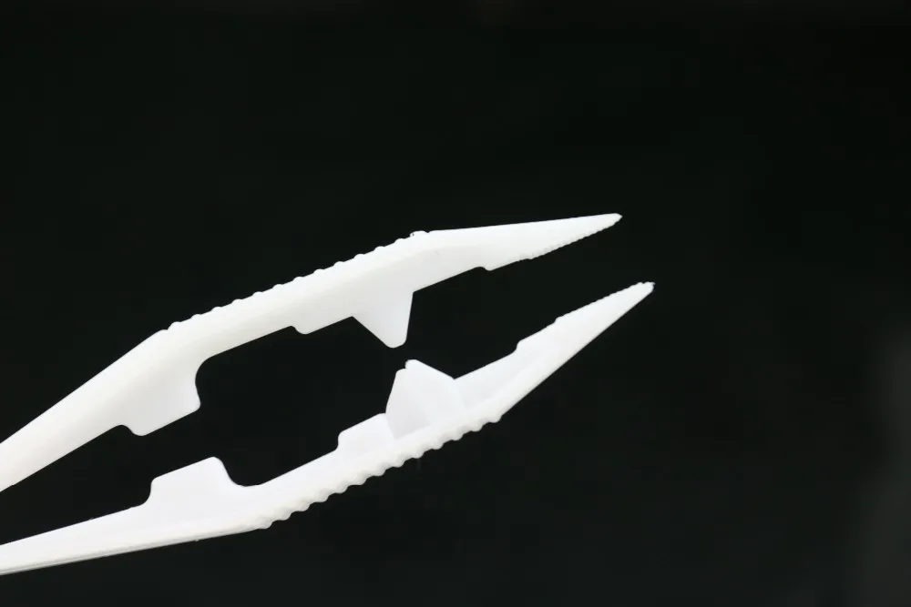 3189699381_1634764389