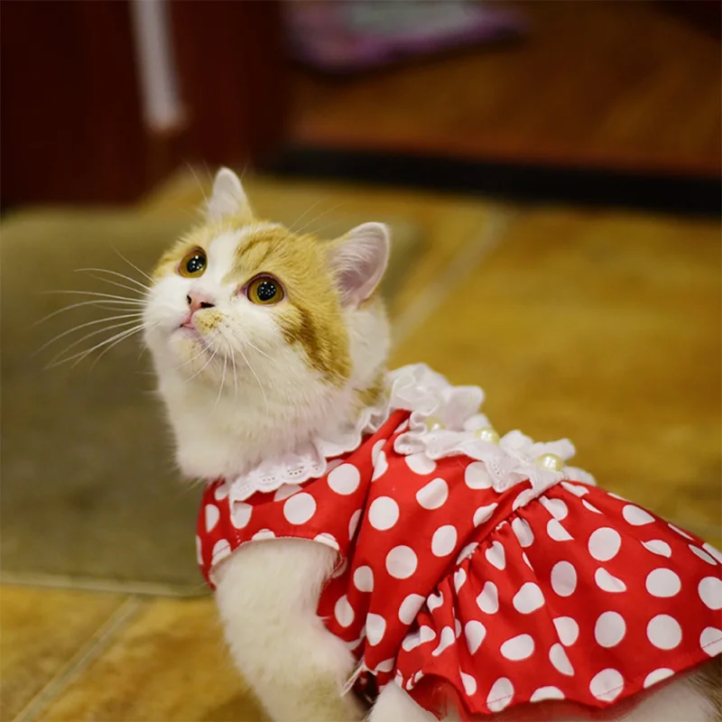 Dresses For Cats Cute Suit Thin Small Dogs Wave Pearl Clothesin Cat