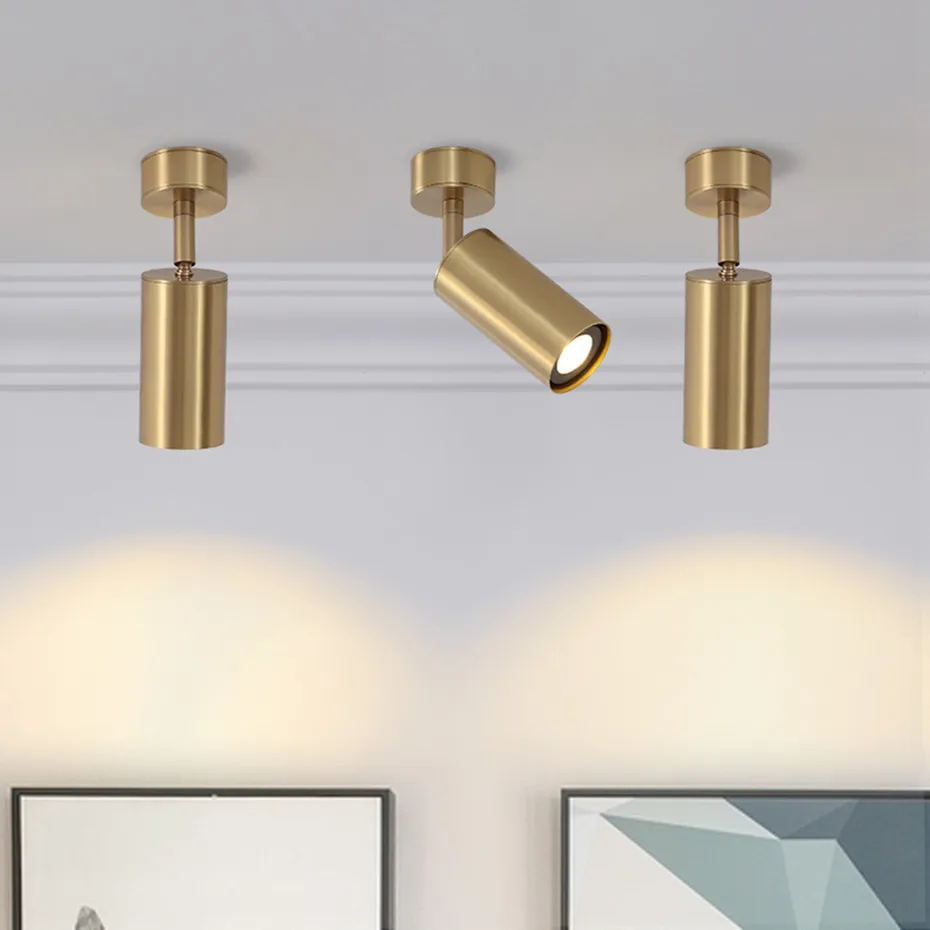ceiling spotlights  (5)
