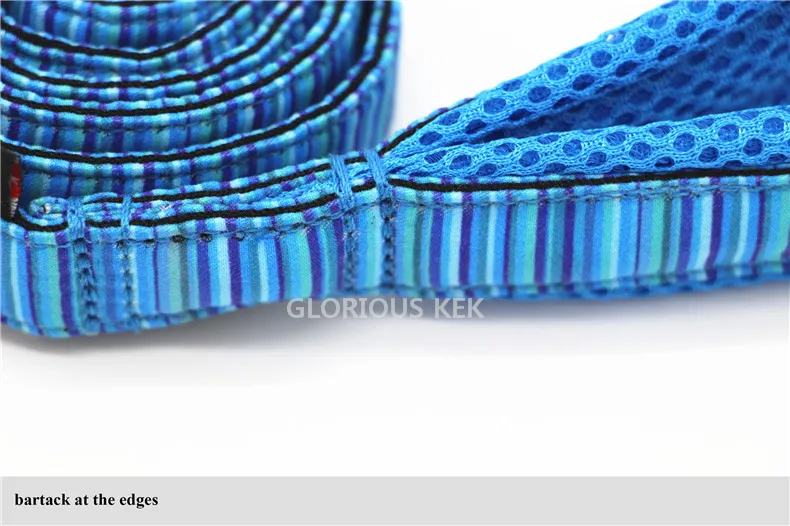 Dog Leash (10)