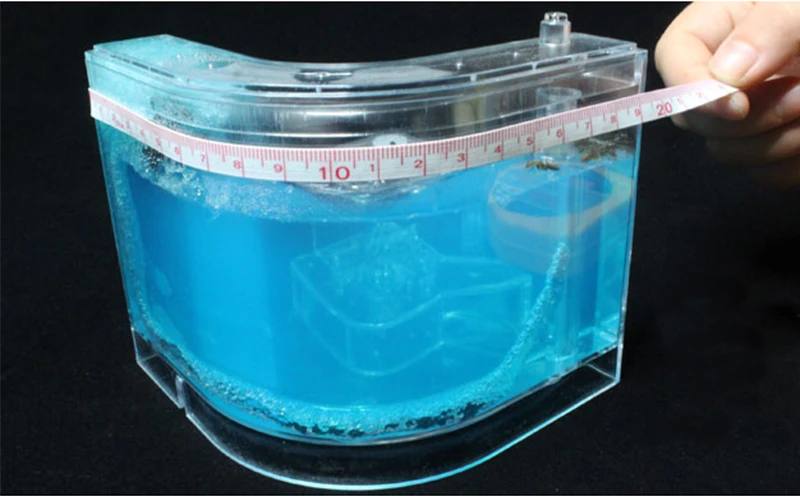 Acrylic Ants Farm Ants House Castle Colorful Insects Terrarium Ant Cage Insects Box Nursery Ecological Kid Educational Model Toy10