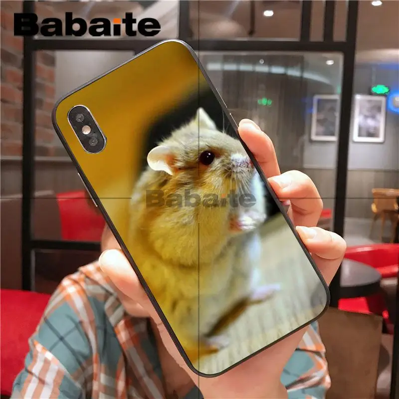 cartoon lovely Animal Hamster 