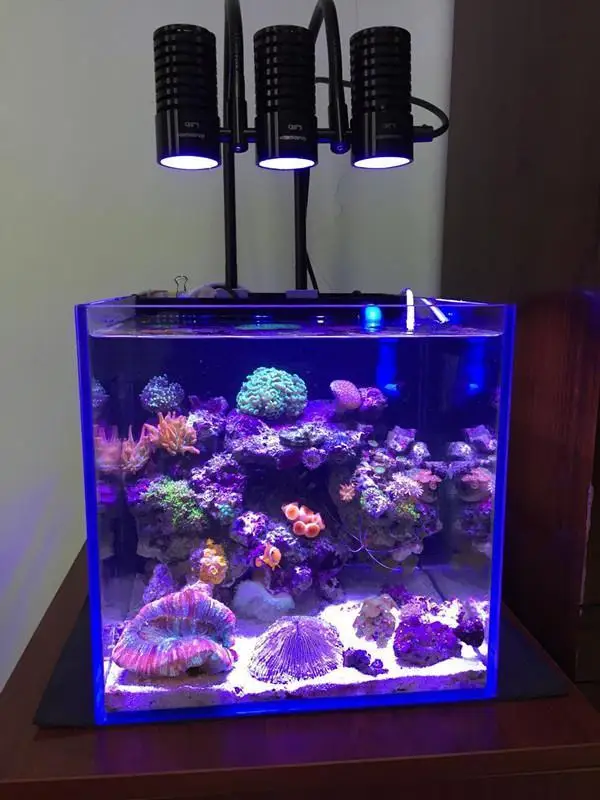 Аквариум Nano Reef