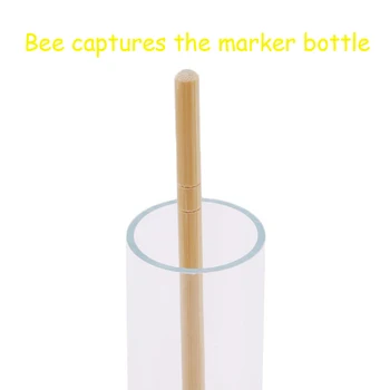 

Plastic Bee Marks Beekeeping Bee Tools Marked Bottle Tools Bee Queen Cage Insect Supplies Bee Equipment