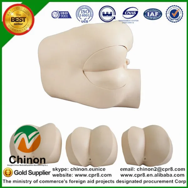 BIX-LV39 Advanced Rectum Check Simulator Rectal Touch Examination Model MQ108 BIX-LV39 Advanced Rectum Check Simulator Rectal Touch Examination Model MQ108