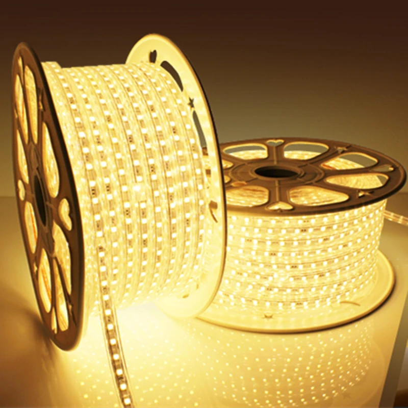 

SMD 5050 AC220V LED Strip Flexible Light 60leds/m Waterproof LED Light With Power Plug 1M/2M/3M/5M/6M/8M/9M/10M/15M/20M ZK93