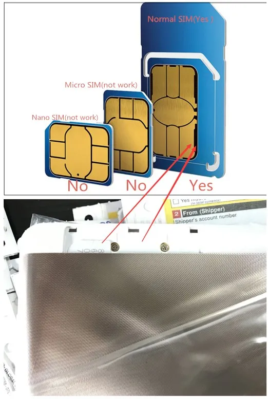 alito1
