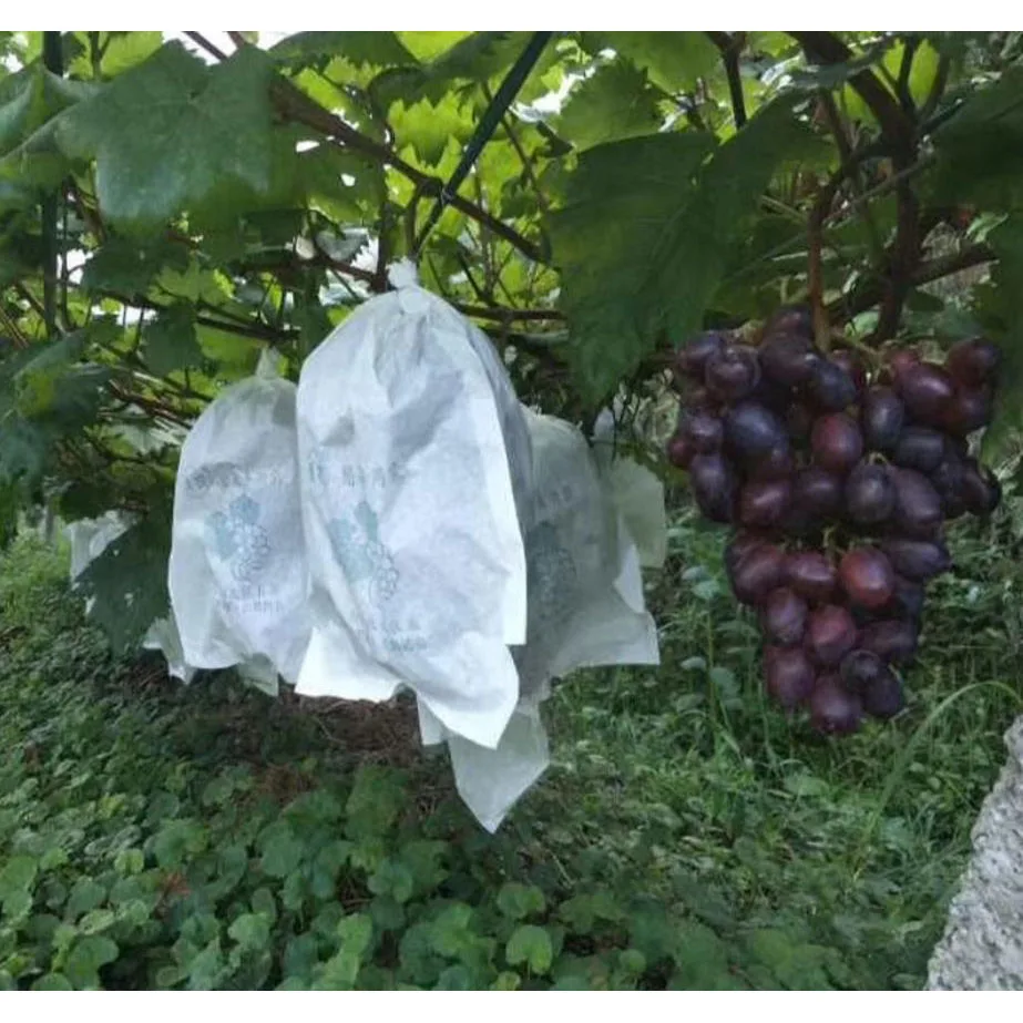 100Pcs Grape Protection Bag Anti Bird Moisture Insect Net