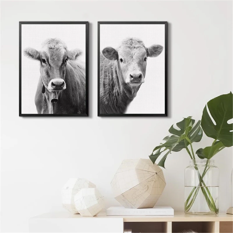 Cow Canvas Prints