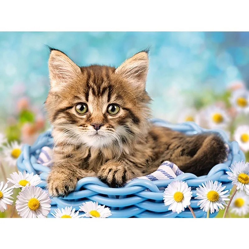 Needlework Decor Square&Round Creative Diamond Embroidery Basket Kitten 5D Diy Diamond Painting Cross Stitch Diamond Mosaic