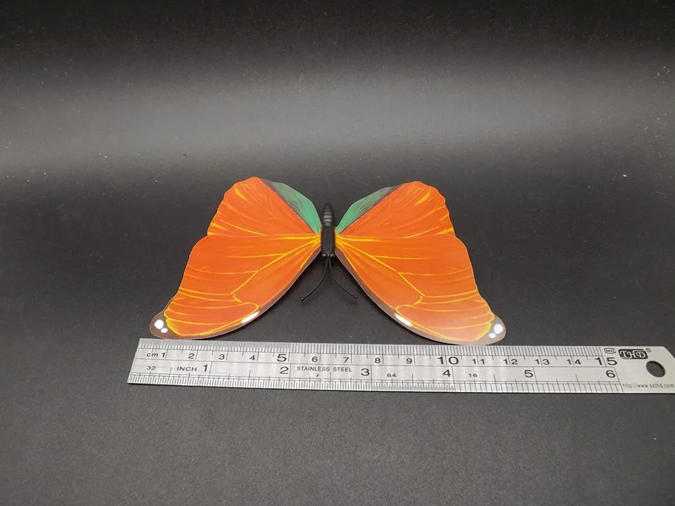 I226-Butterfly (11)