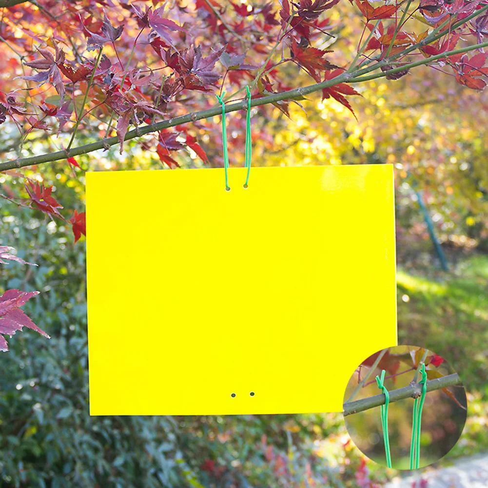 

Sticky Board Imported Glue Double-Sided Fly Bug Insect Catcher Catching Aphid Insects Pest Trap Kill