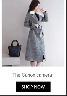 dianxiaobao