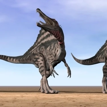 Three Spinosaurus dinosaurs standing in the desert Poster Print (46 x 17)