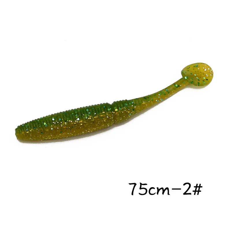 zt (6)