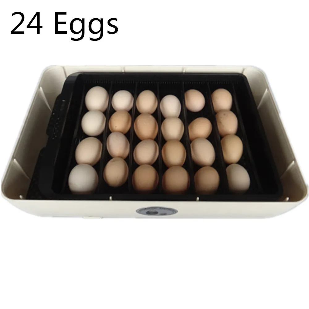 CE Approved Brand 24 Eggs Incubator Chicken Pigeon Duck Parrot Egg Incubator Brooder Hatcher + Gift Flashlight CE Approved Brand 24 Eggs Incubator Chicken Pigeon Duck Parrot Egg Incubator Brooder Hatcher + Gift Flashlight