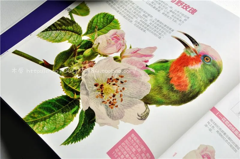"Африканские цветы окрашены птица" цветные карандаши для рисования книги, карандаш эскиз учебник, ручная роспись цвет иллюстрации техники
