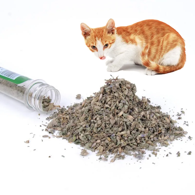 

40ml Organic Cat Natural Catnip Interactive Pet Cat Treats Toy Cat Mint Snacks Kitten Menthol Flavor Training Tools for Cats