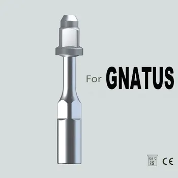 

ED0, GNAUTS,ENDODONTICS CANAL CLEAN, DENTAL TIP, DENTAL INSTRUMENT, ORAL HYGIENE