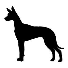 13,5*12,7 см Фараон Борзая Собака виниловый деколь отражающий наклейки для автомобиля Стильный автомобильный бампер украшение черный/серебристый S1-1196