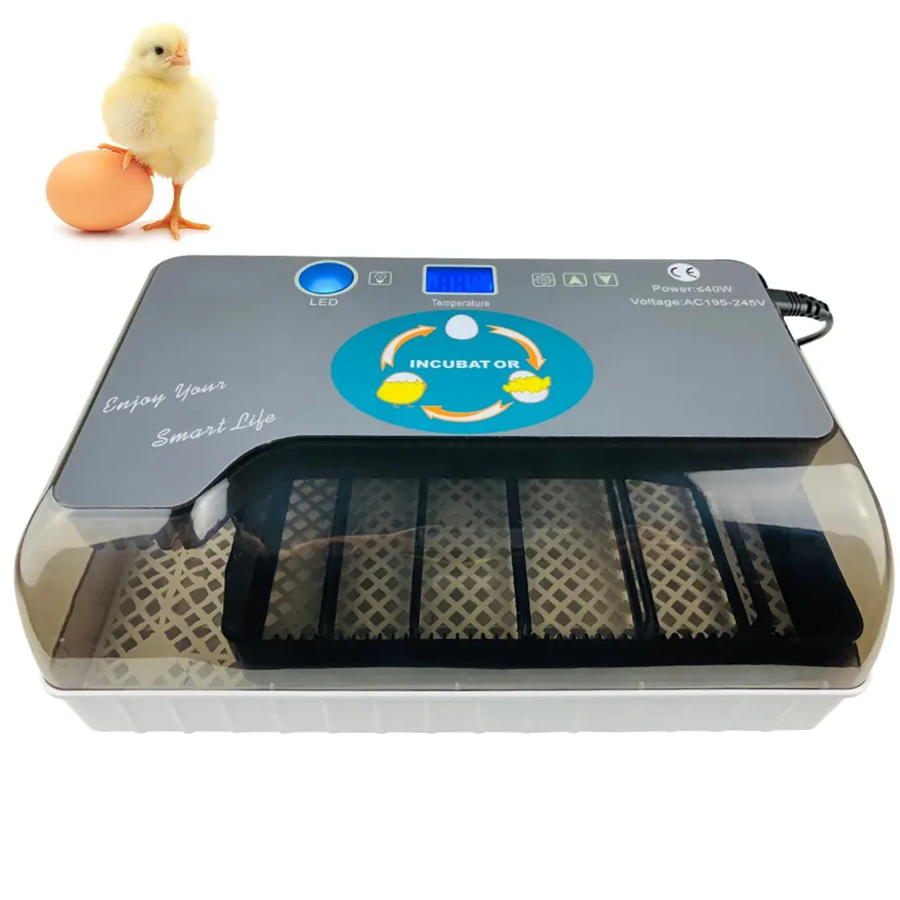 Digital Egg Incubator Automatic Egg Hatcher Automatic Turning 12 Eggs Chicken Birds Quail Brooder Egg Incubator