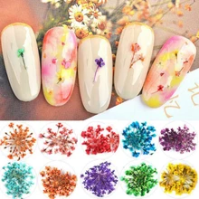 12 шт./кор. 3D натуральные высушенные цветочный дизайн ногтей украшение УФ гель лак покрытие для маникюра реальное сохранение с цветочным смешанным сухим цветением советы