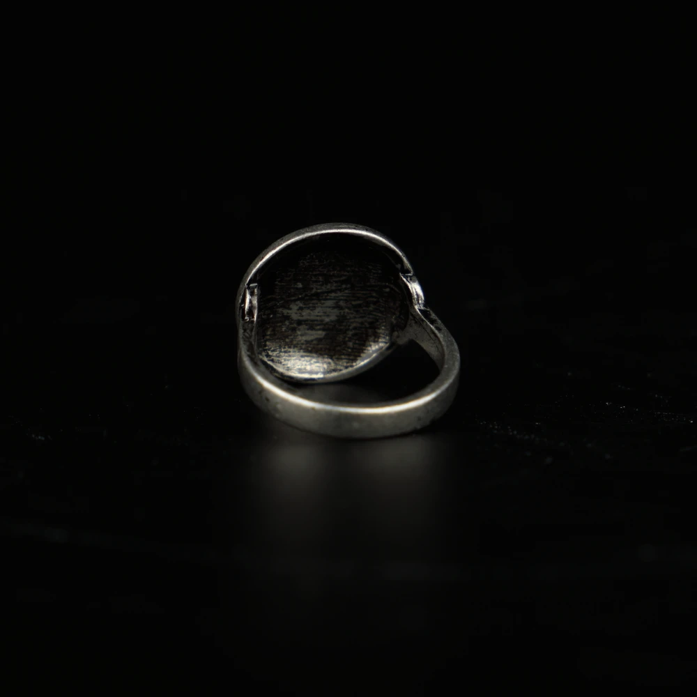 #10 Game Dark Soul 3 Rings Hornet Ring Luxury Weapon Equipment Dark Soul Accessories Souvenir Halloween Party Prop (17)