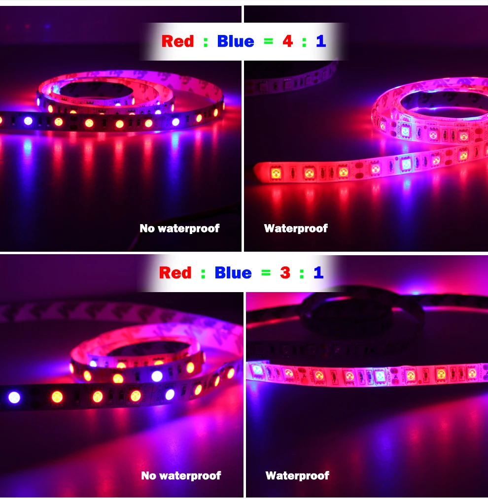 Крытый светодиодный растут DC12V 5630 Водонепроницаемый растет Светодиодные ленты роста растений лампа комплект 1 м 2 м 5 м с адаптером и переключатель