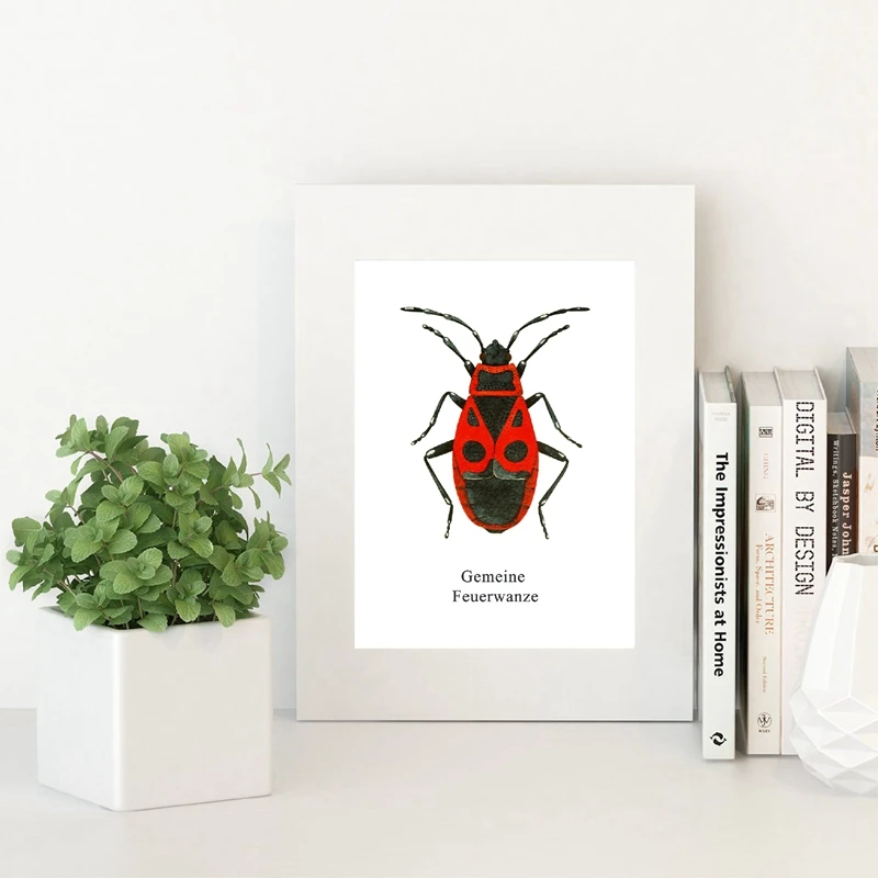 Gemeine Feuerwanze Poster Home Decor