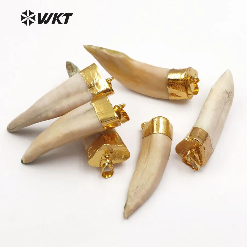 WT P241 WKT оптовая продажа оригинальная Волчья подвеска в форме зуба с крышка