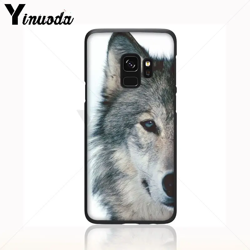 cool half Wolf face animal