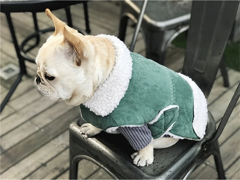 dog clothes coat winter (8)