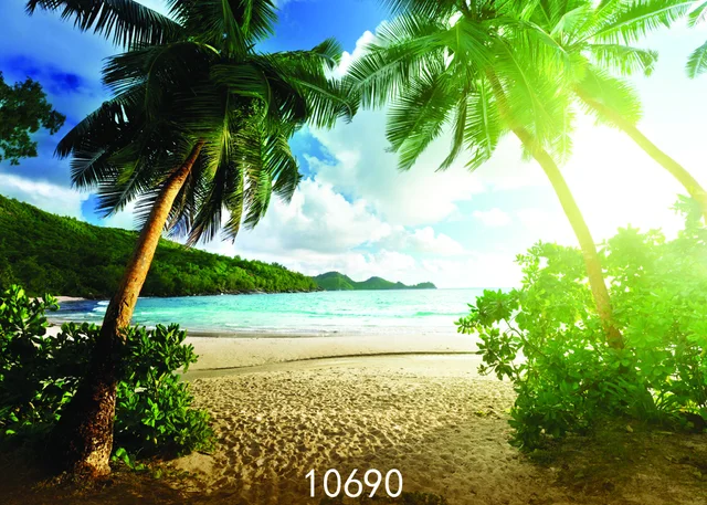 coconut palm tree on sandy beach backgrounds for sale portrait cloth