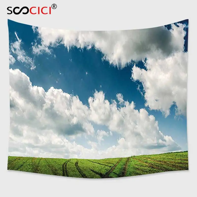 Cutom Tapestry Wall Hanging Landscape Endless Green Rutty Field with Cloudy Sky Horizon Ecological Nature Photo White Blue | Дом и сад