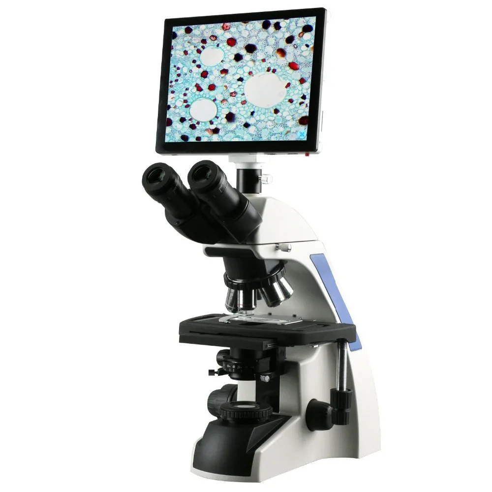 AmScope 40X-2500X Infinity Plan Laboratory Compound Microscope with LCD Touch Pad Screen 