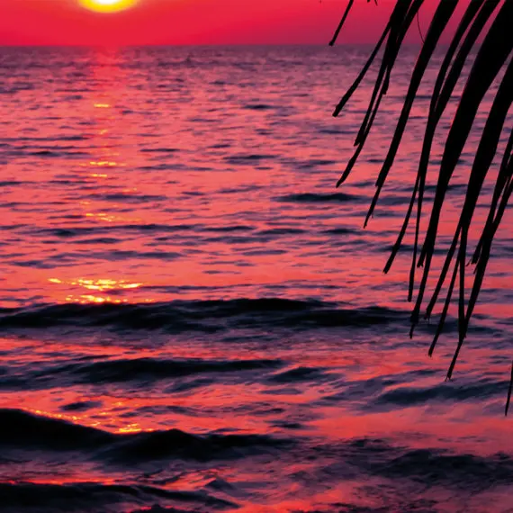 il_570xN.1128515166_41tr