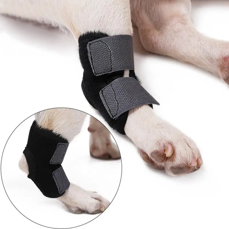 1 шт., новые наколенники для домашних животных, поддерживающие фиксаторы для собак на заднюю ногу, фиксирующие суставы, дышащие, для восстановления травм, для ног, защита для собак, поддержка