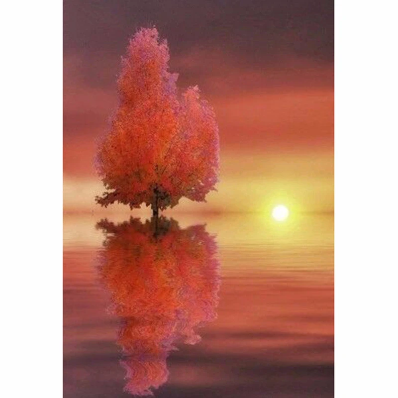 downloadedPhotos (9)