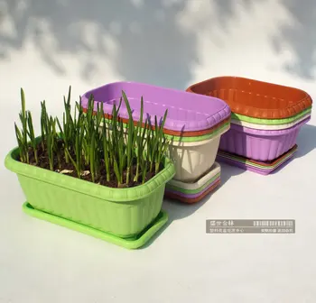 

Balcony planting vegetables Pots