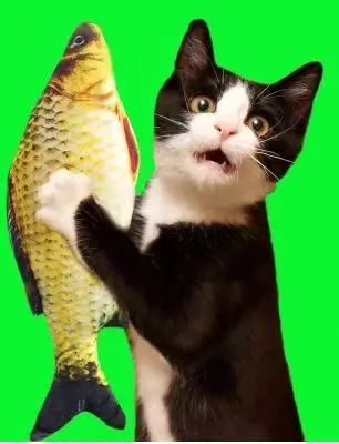 Игрушка для кошек мята рыба кошка и кошка бар имитация матер