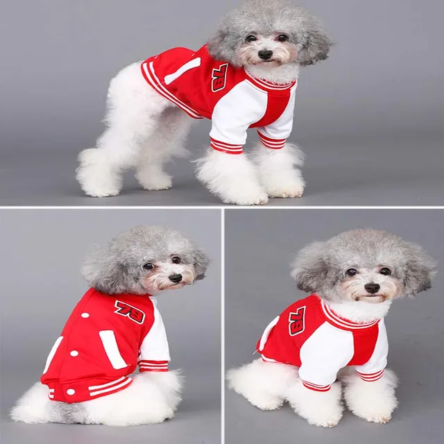 Cute small pet dog Baseball Jacket dog cat All match Baseball ...