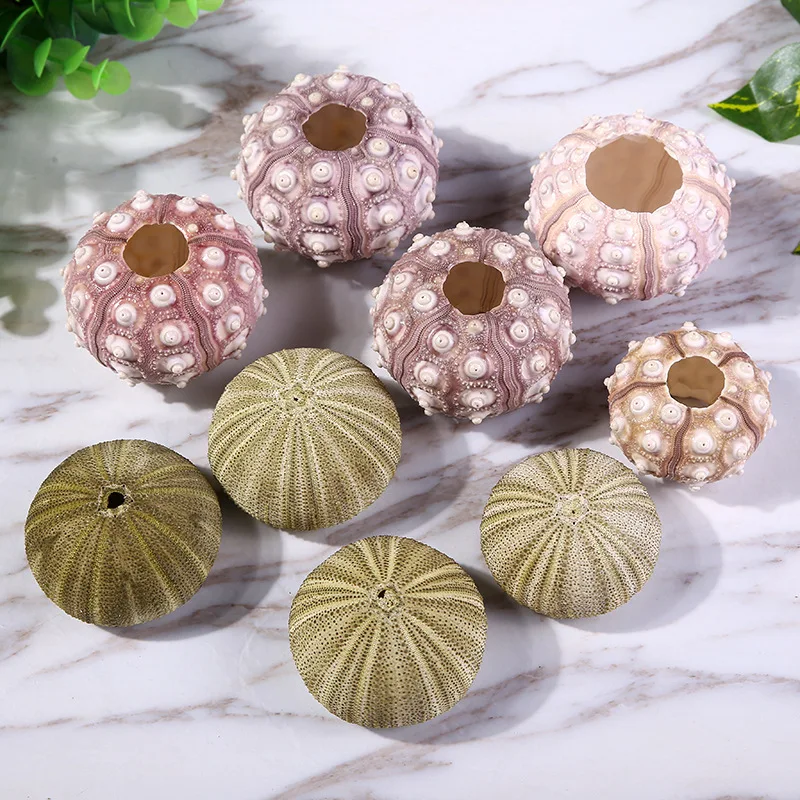 9102402930_373119200