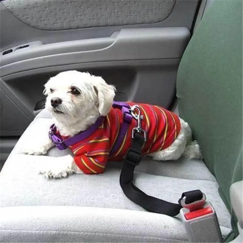

New Adjustable Leash For Dogs Red Car Seat Belt Nylon Dog Collars Leashes Small Seatbelt Goods For Pet Safety Shop Supplies