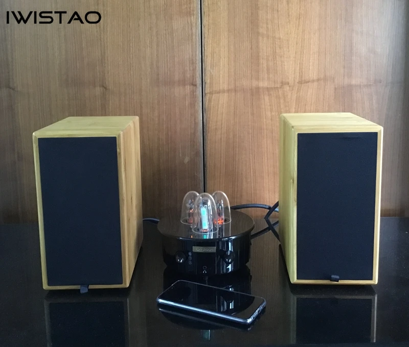 IWISTAO HIFI 4 дюйма полный спектр лабиринт динамик бамбук 2x60 Вт макс 8 Ом 70 Гц-22 кГц 89 дБ для монитора динамик s ламповый усилитель