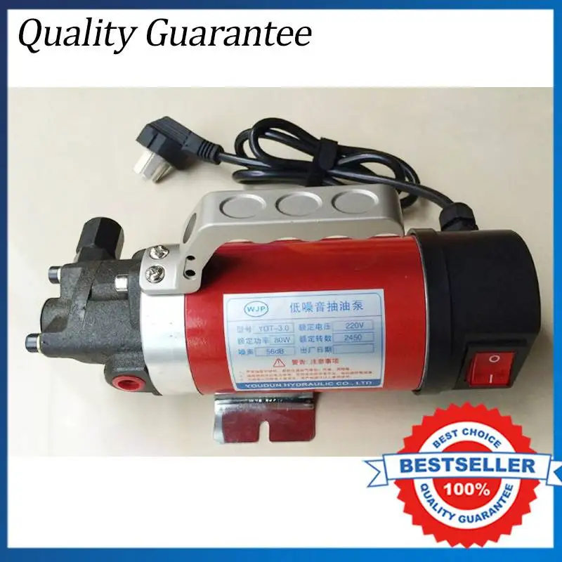 Hot Sale 220V Gear Oil Pump 2.5L/min Car Oil Exchange Pump in Pumps from Home Improvement on