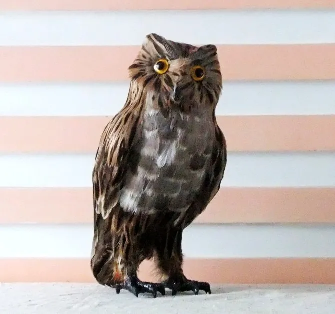 

Simulation animal owl toy 28x14cm feathers nighthawk model toy,polyethylene&furs Resin handicraft,props,decoration d0127