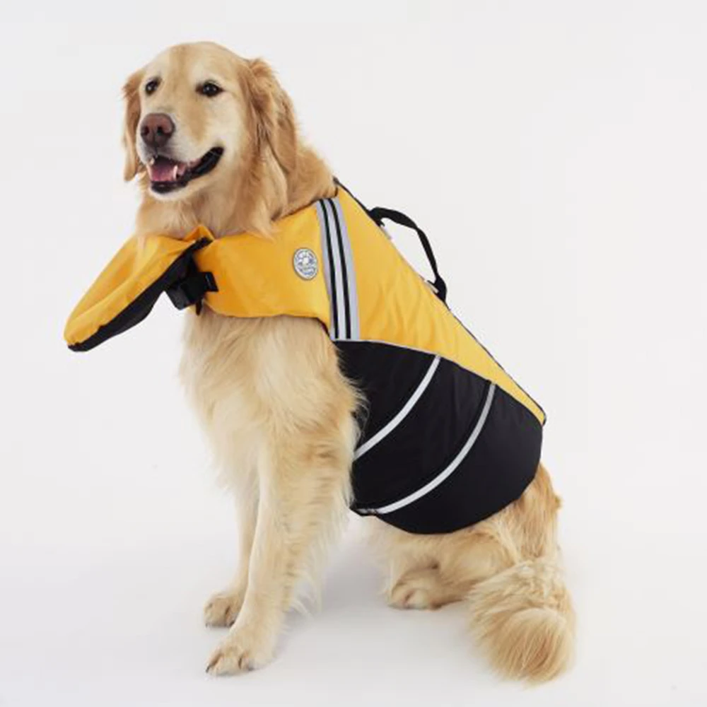 Top more than 78 golden life jacket super hot in.thdonghoadian