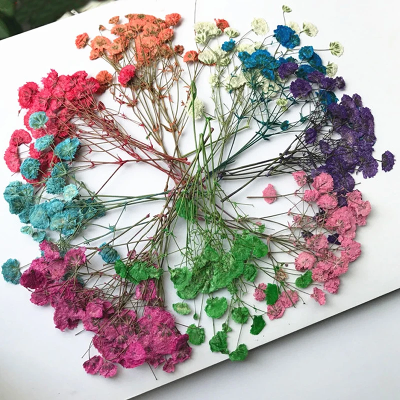 

9 Different Color Collection Starry expxy specimen dried flowers press natural flower DIY handmande floral 1 lot/120pcs