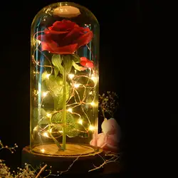 ICOCO Роза светодиодный ночник строка свет в стекло купол деревянный база День святого Валентина подарки комнаты декоративная батарея