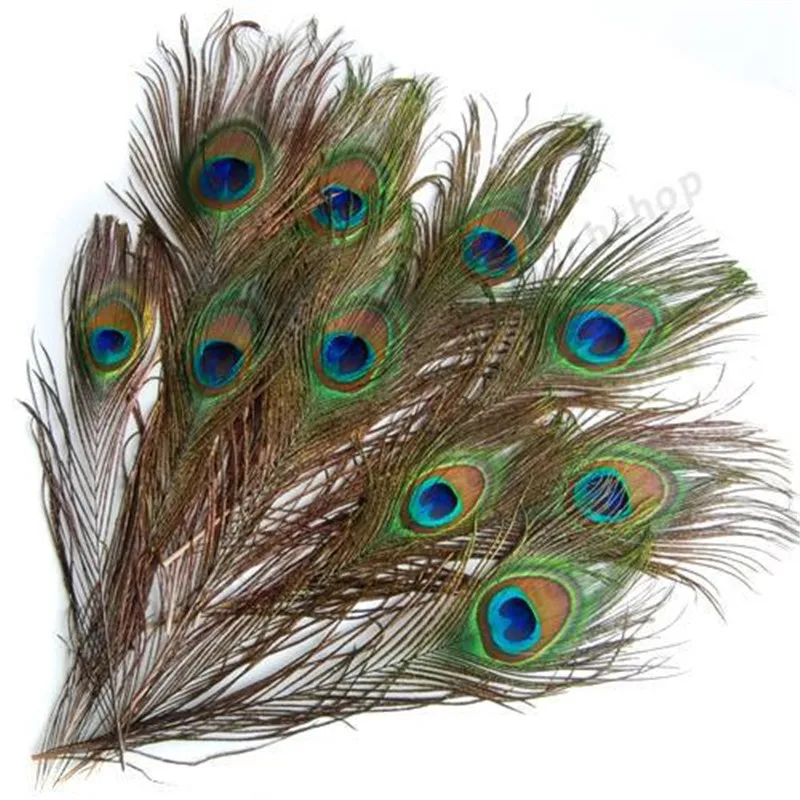 

10Pcs Real Natural Peacock Eye Tail Feathers Beautiful Natural Feathers Wedding Party Embellishments Making Decor 10-12 Inches